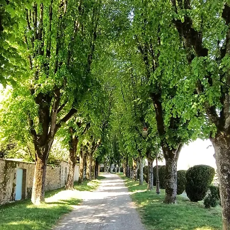 Au Coeur Du Patrimoine Sezannais * Sézanne